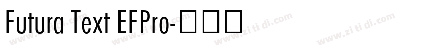 Futura Text EFPro字体转换